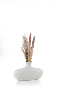 אגרטל אריאנדה