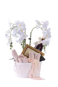 ניגון אצילי