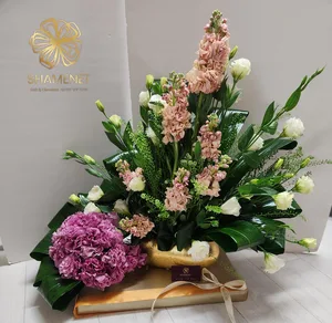 WhatsApp Image 2026-03-11 at 00.33.07 (2).