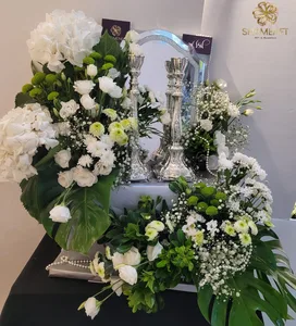 WhatsApp Image 2026-03-11 at 00.33.07 (4).