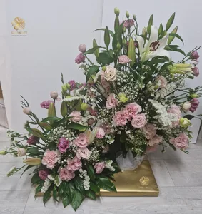 WhatsApp Image 2026-03-11 at 00.33.07 (5).