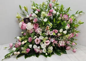 WhatsApp Image 2026-03-11 at 00.33.09 (1) - Copy.